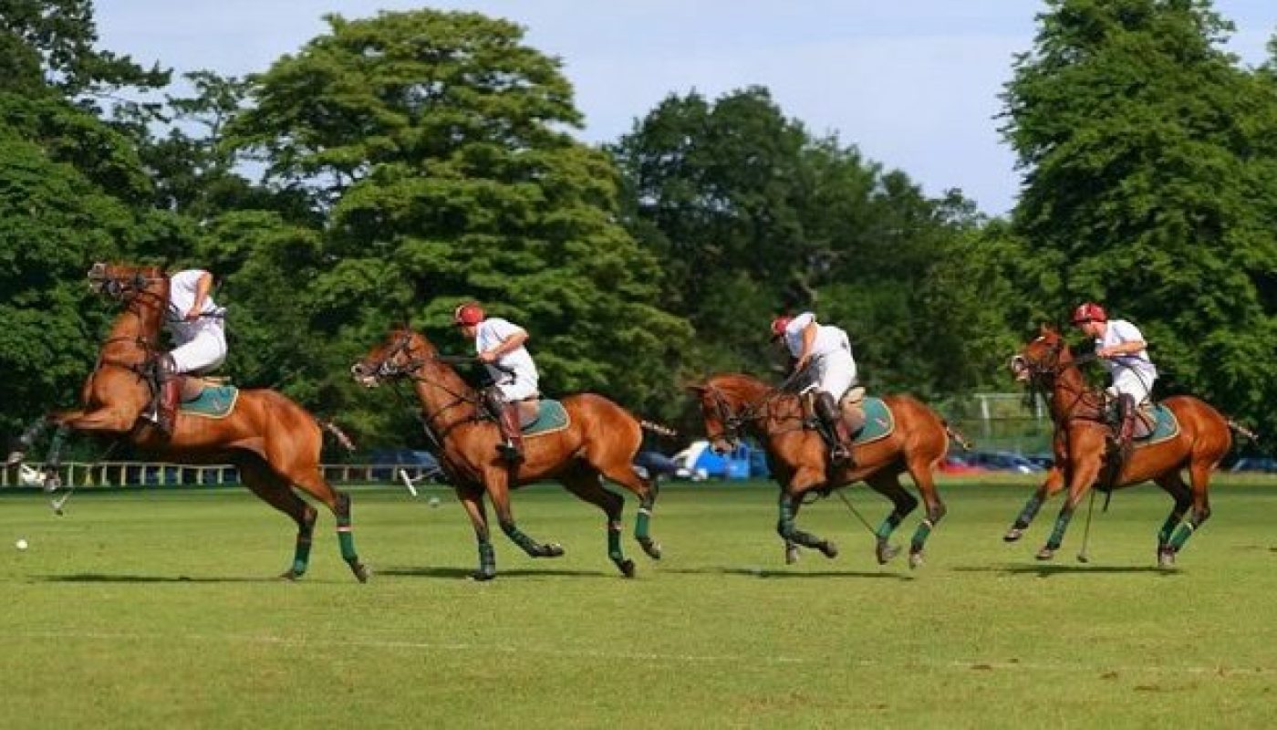 Polo in the park