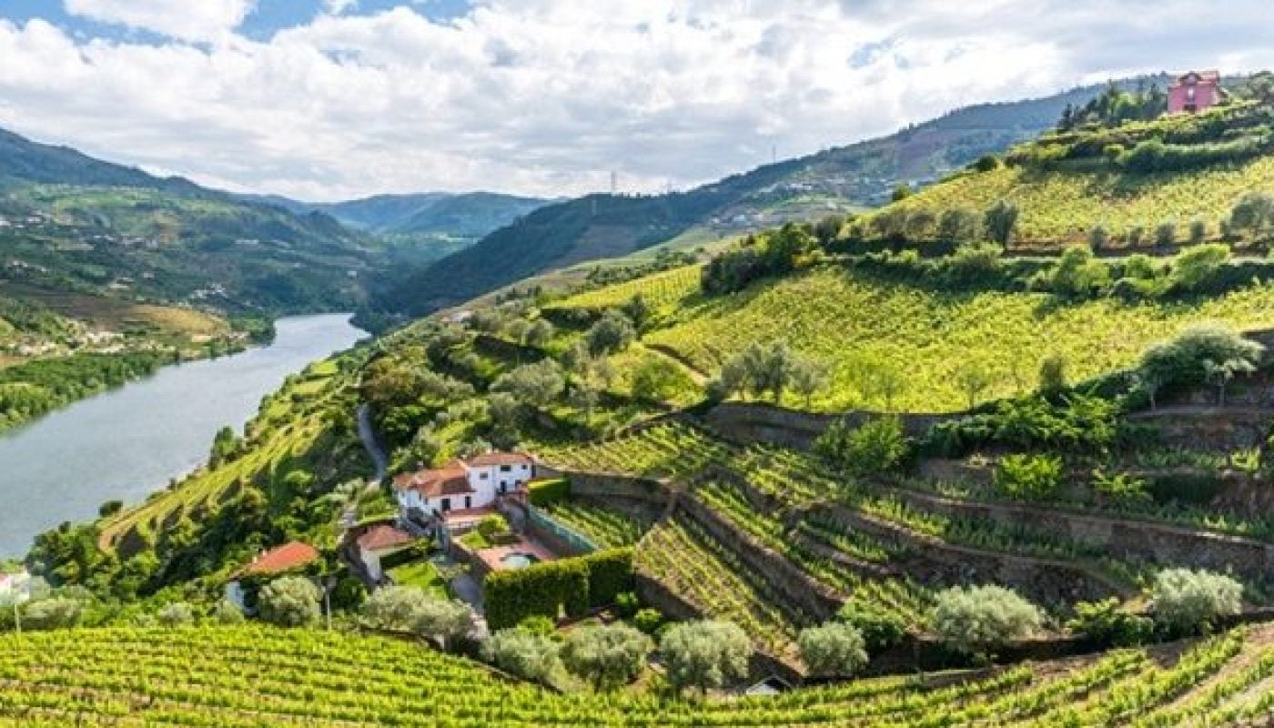 Vineyards and Landscape of the Douro river region in Portugal