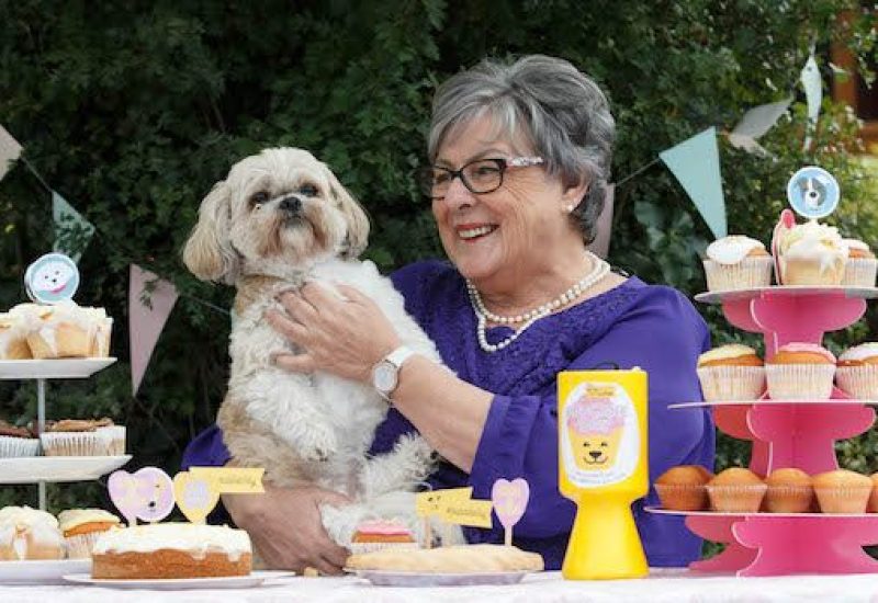 Pupcake Day Dogs Trust