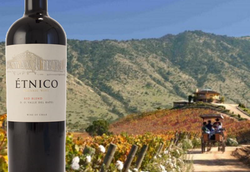 Etnico Reserva 2014 - Wine of the Week from O'Briens Rain or shine this Spicy Chilean Red will Brighten Up your Evening