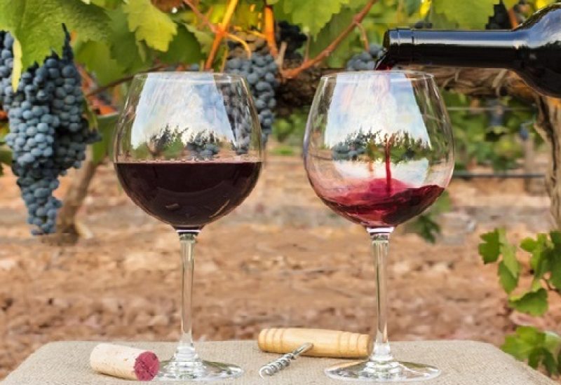 Southern Italian Wines