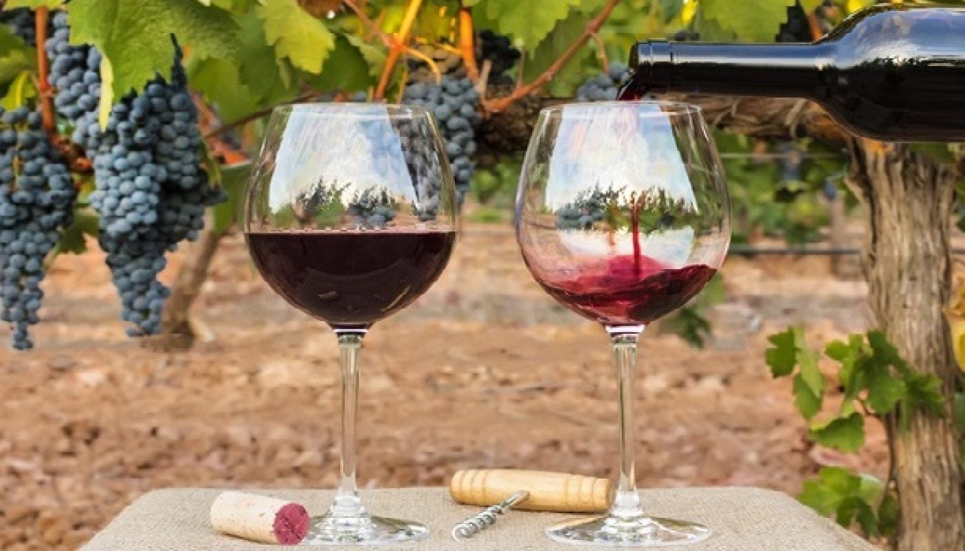Southern Italian Wines