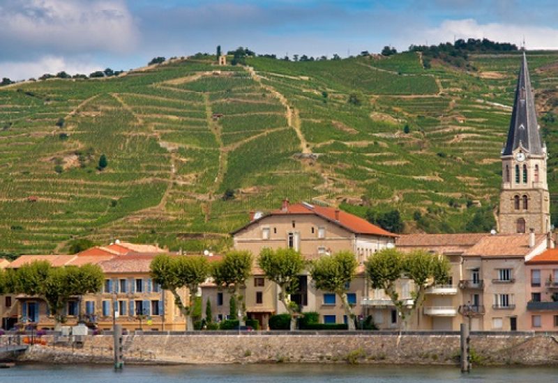 Rhone Wines you Need to Try