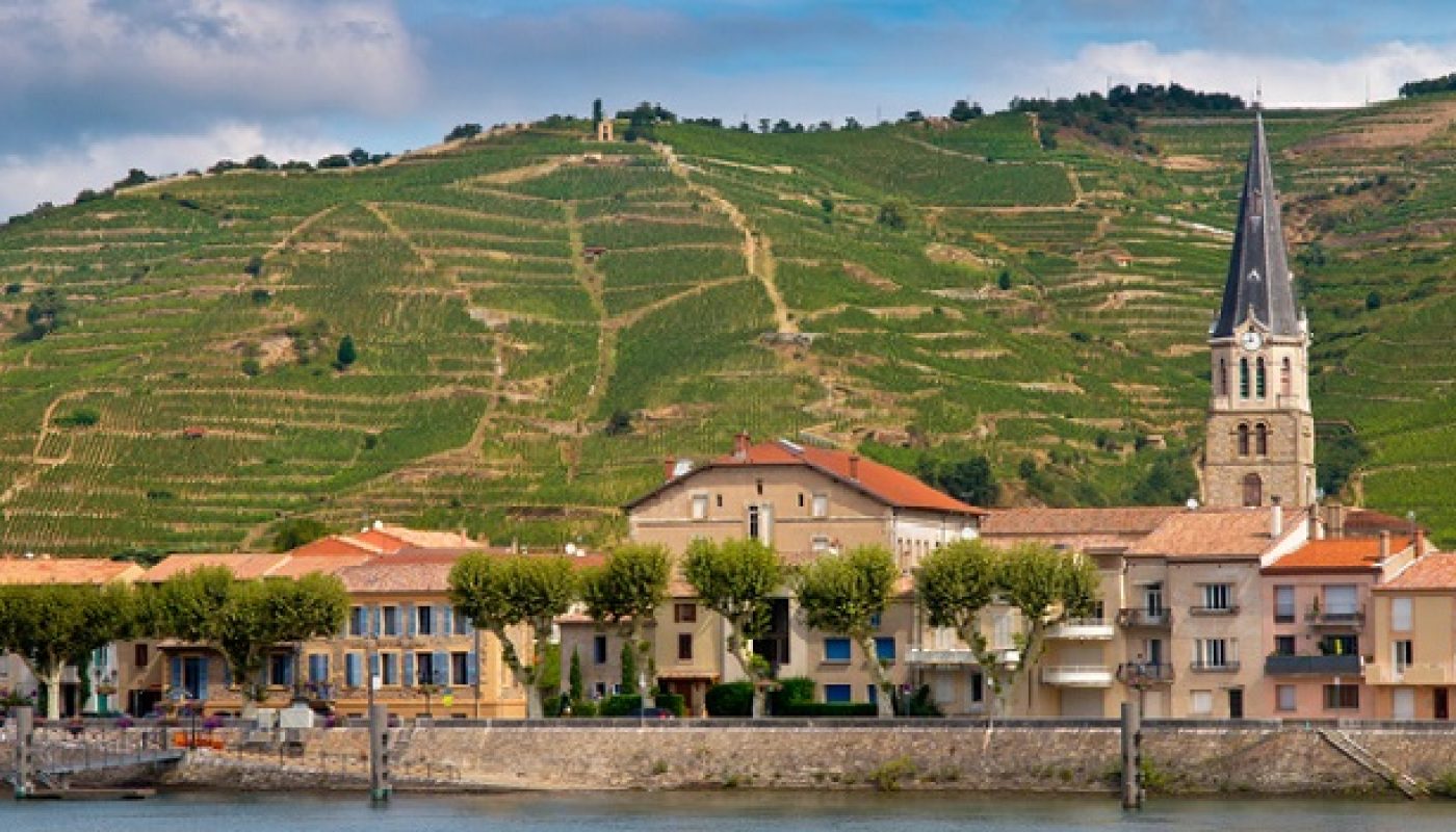 Rhone Wines you Need to Try