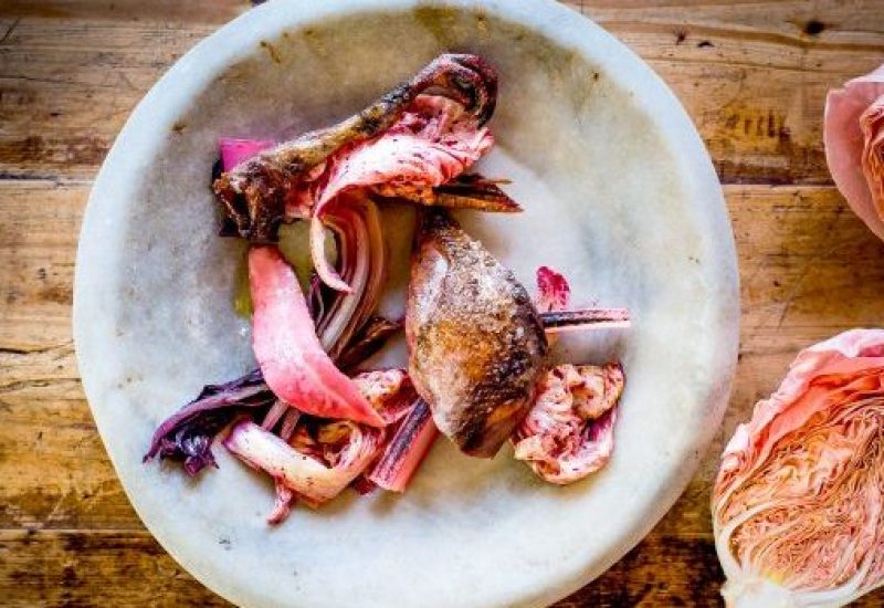 Robin Gill - Game - PWF-0208 wood pigeon