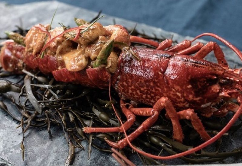 Saba lobster 2