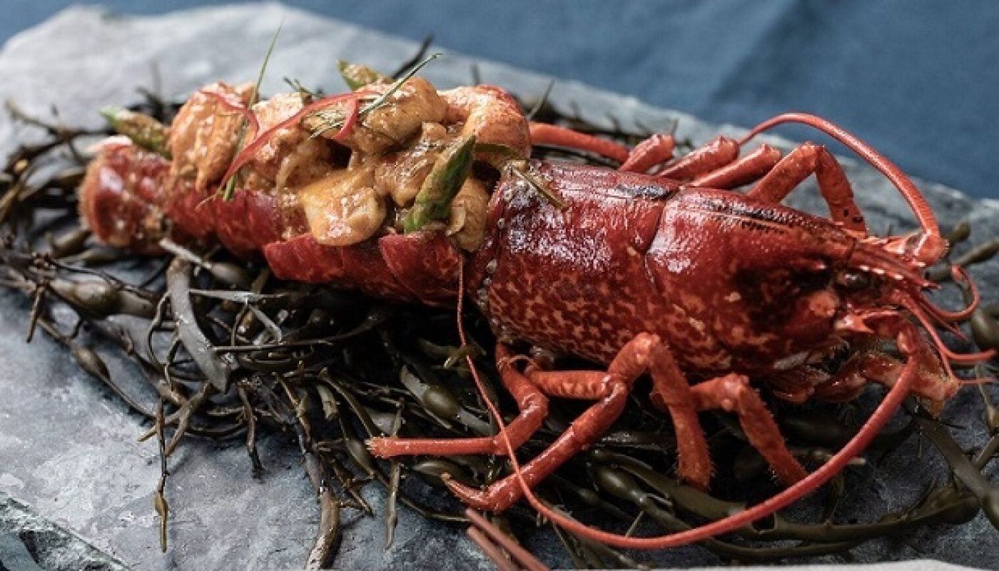 Saba lobster 2
