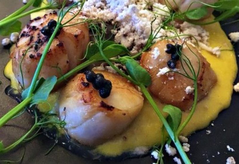 Scallops 1