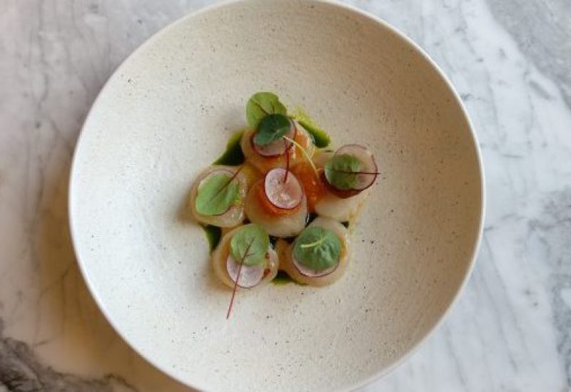 Scallops1