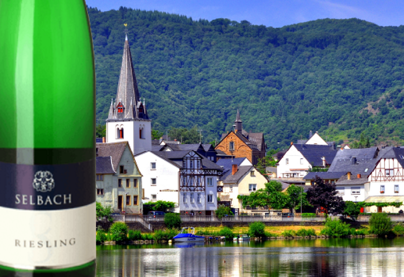 Selbach Riesling Mosel QbA - Wine of the Week from O'Briens