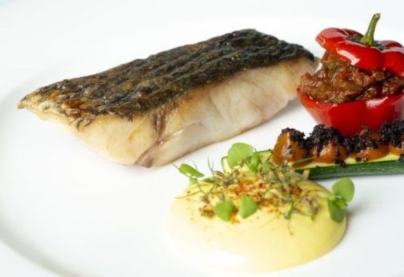 Sheen Falls Stonebass