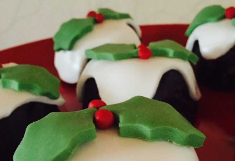 Siucra Chocolate Biscuit Puddings