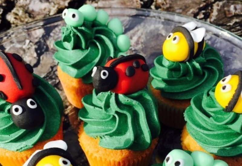 Siucra Mini Bug Buns