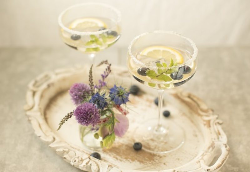Siúcra & Catherine Fulvio Gin Fizz Cocktail Recipe
