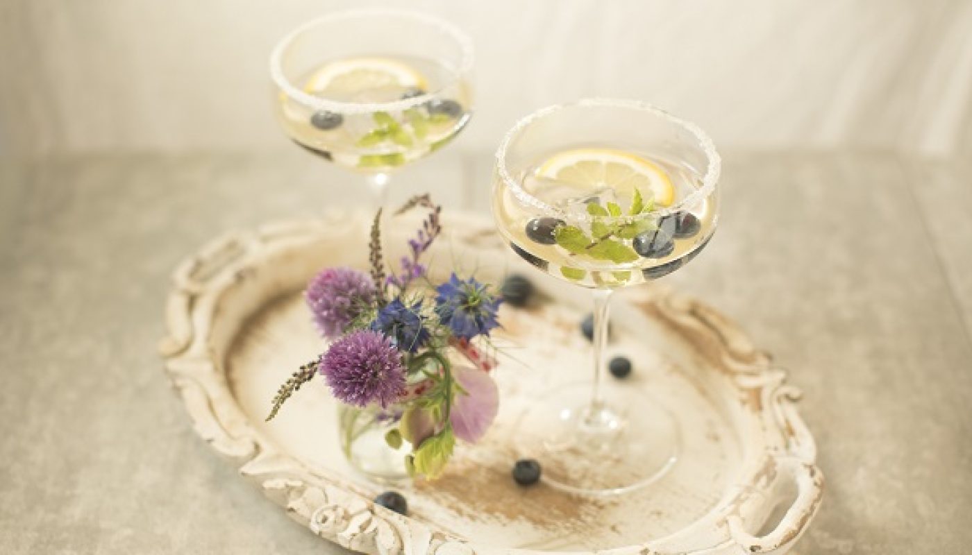 Siúcra & Catherine Fulvio Gin Fizz Cocktail Recipe