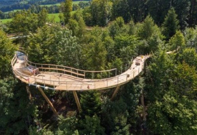 Switzerland treetop walk.jpg baumwipfelpfad_im_bau_1