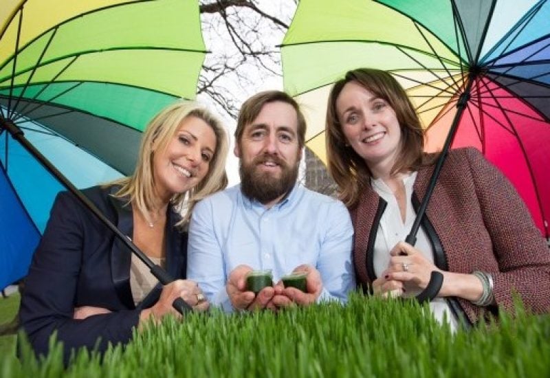 Taste of Dublin