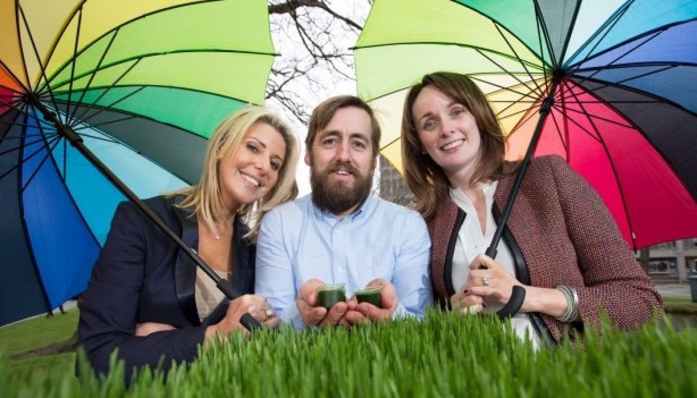 Taste of Dublin