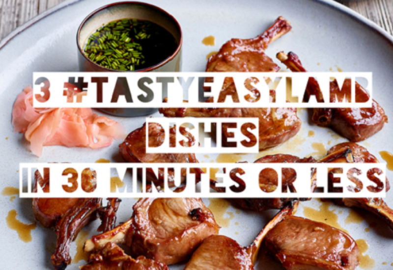 TastyEasyLamb