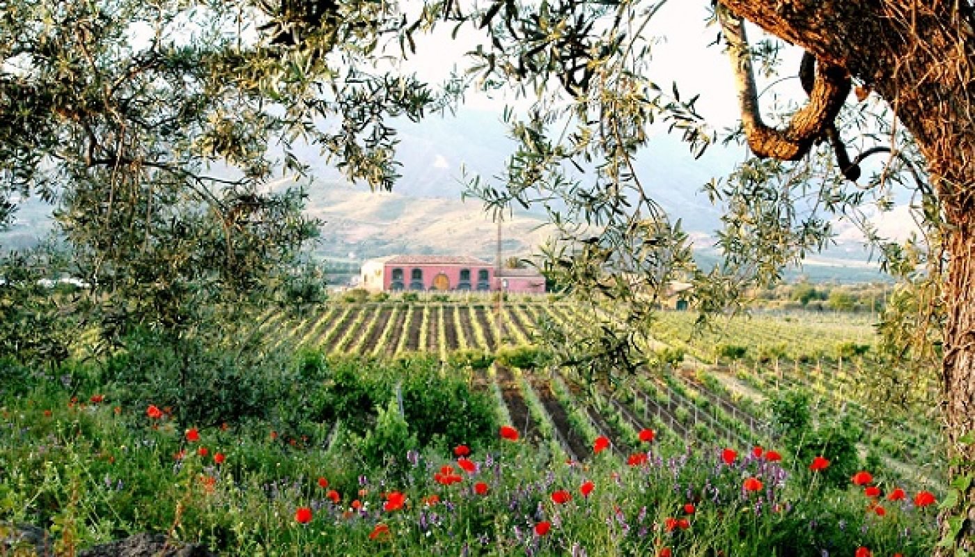 Etna Wines, Taste Sicily's Volcanic Treasure