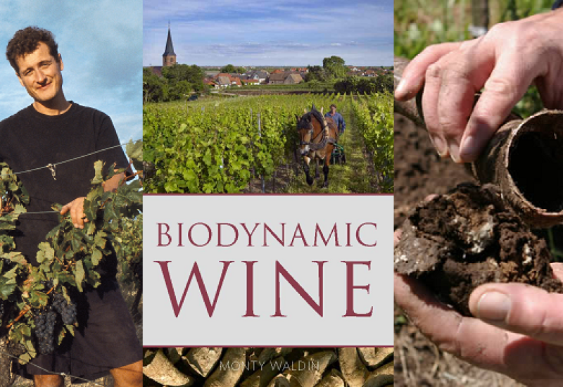 The Science Vs the Fiction Behind Biodynamic Wines - A Talk with Author Monty Waldin
