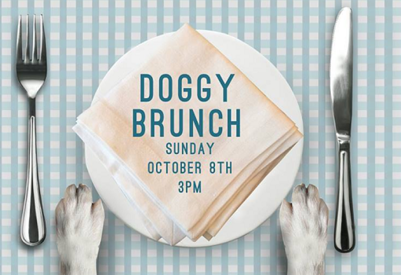 There's a New Doggie Brunch in Town with G&T, Prosecco and Treats and it Looks Pawesome