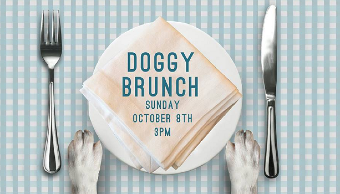 There's a New Doggie Brunch in Town with G&T, Prosecco and Treats and it Looks Pawesome