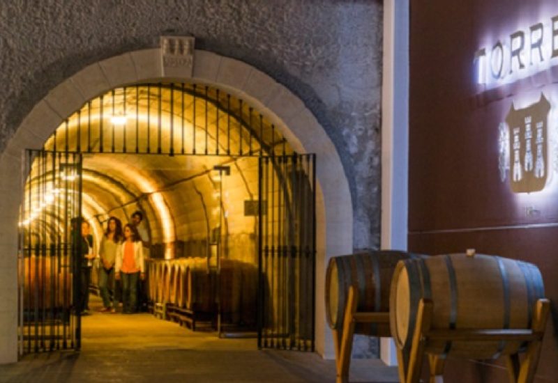 The Future Pours the Past: How Torres Mas La Plana Passes the Taste of Time