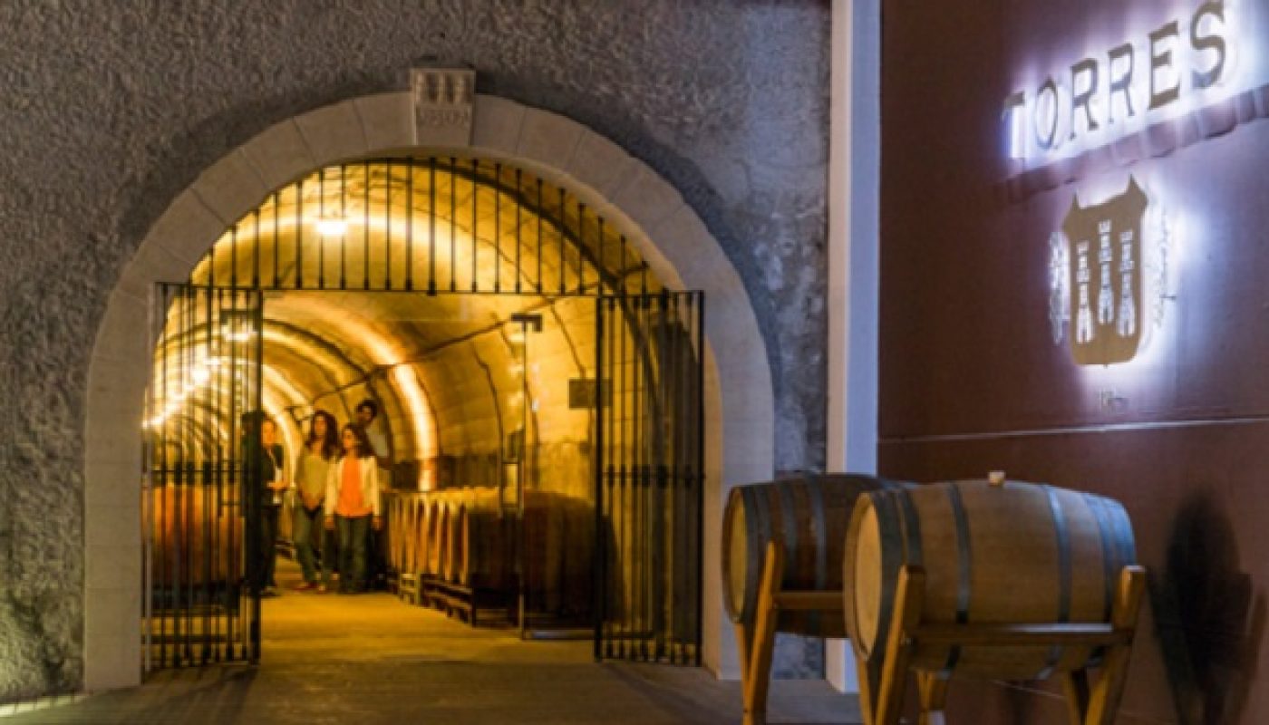 The Future Pours the Past: How Torres Mas La Plana Passes the Taste of Time