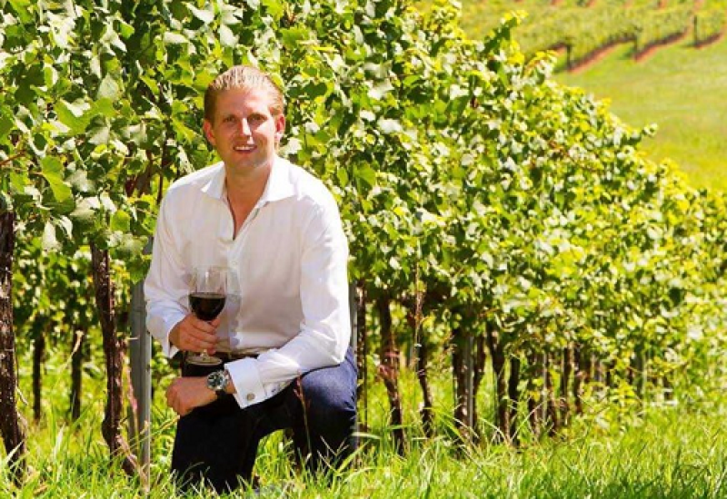 Trump Winery Looking to Hire Unskilled Foreign Workers for Harvest Season