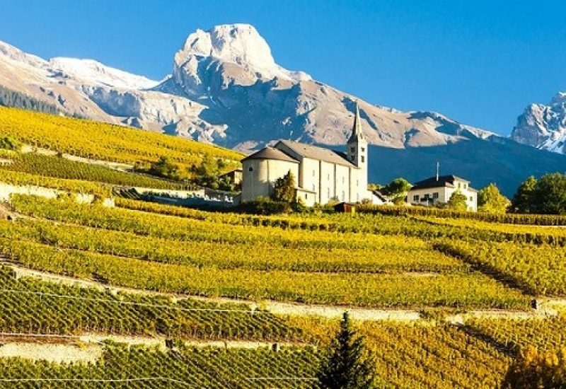 The Hills are Alive With the Taste of Wines from The Alps