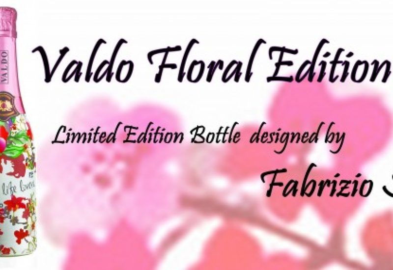 Valdo-website-banner-1-2
