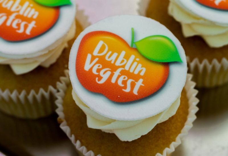 Dublin vegfest 2023