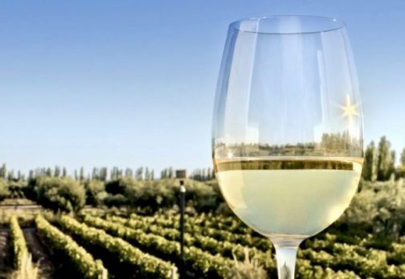 Glass of white wine
