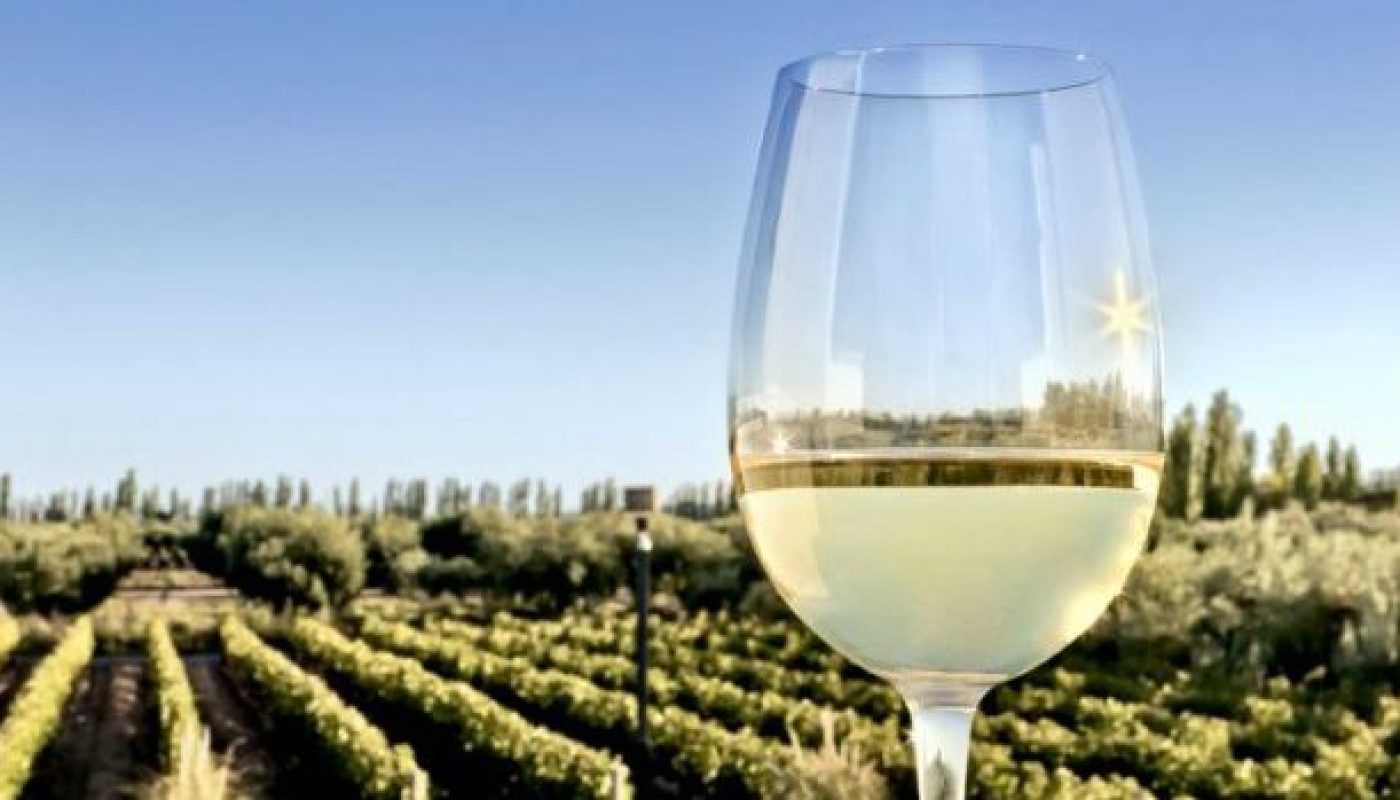 Glass of white wine