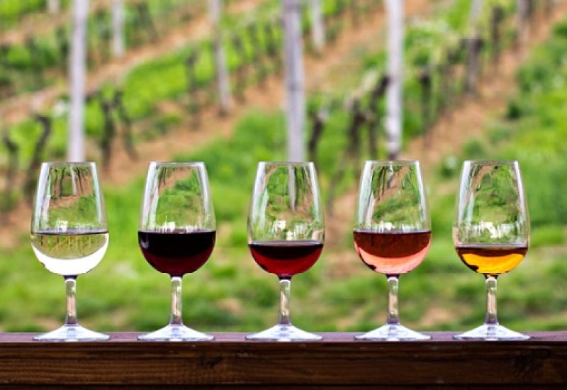 Wine Glasses Vineyard
