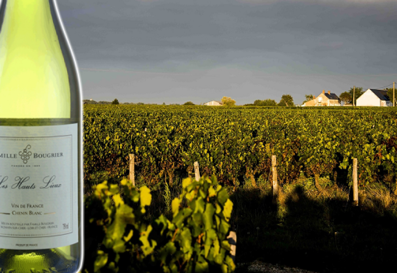 This Fresh and Friendly Chenin Blanc Is the White Wine you Need to Try this Week
