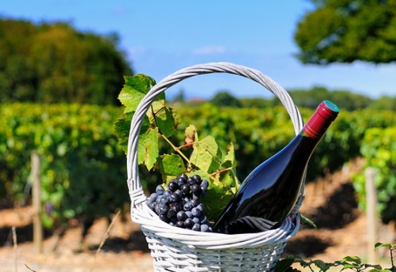 Wines that Put the Beau in Beaujolais