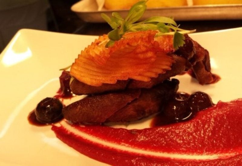 Wood Pigeon
