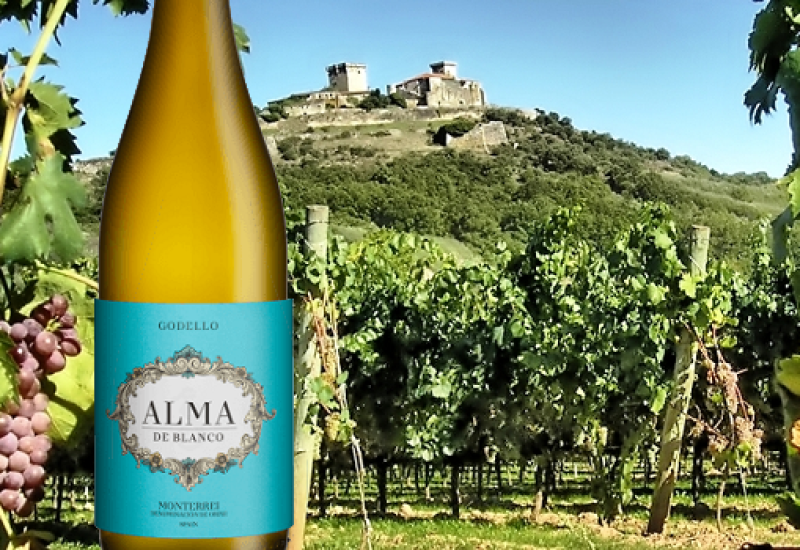 Alma Godello - Wine of the Week from O’Briens