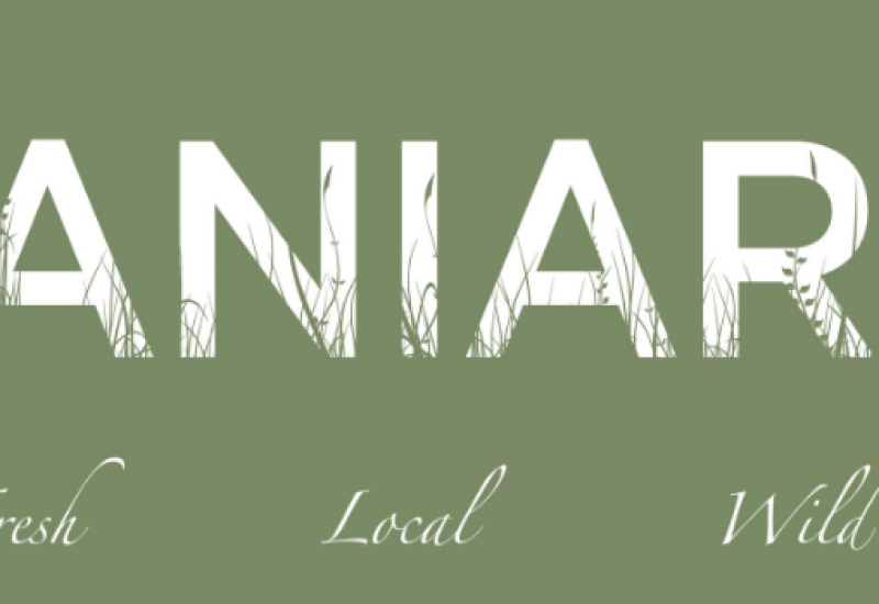 aniar-featured-photo