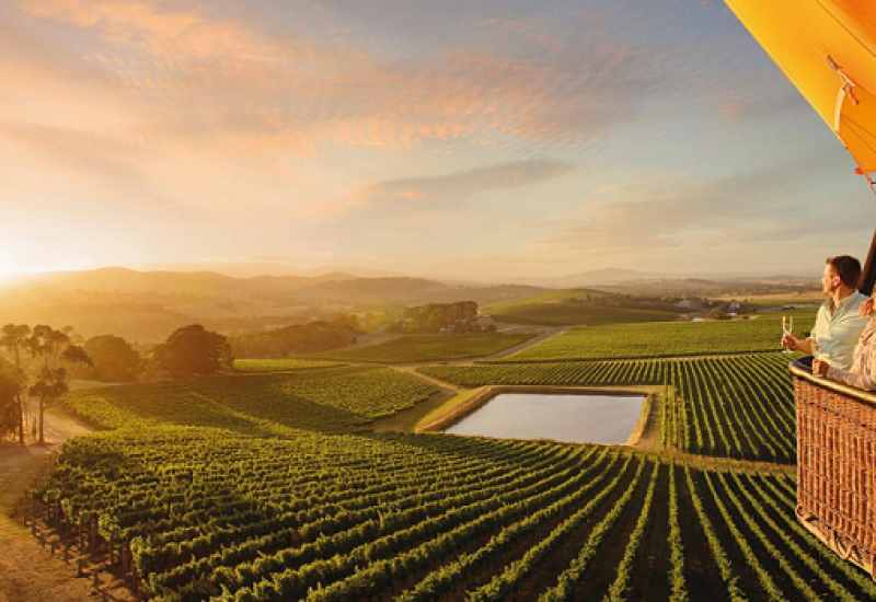 The Wonderful Wines of Oz: No Place Like Australia for Modern, Exciting Wines