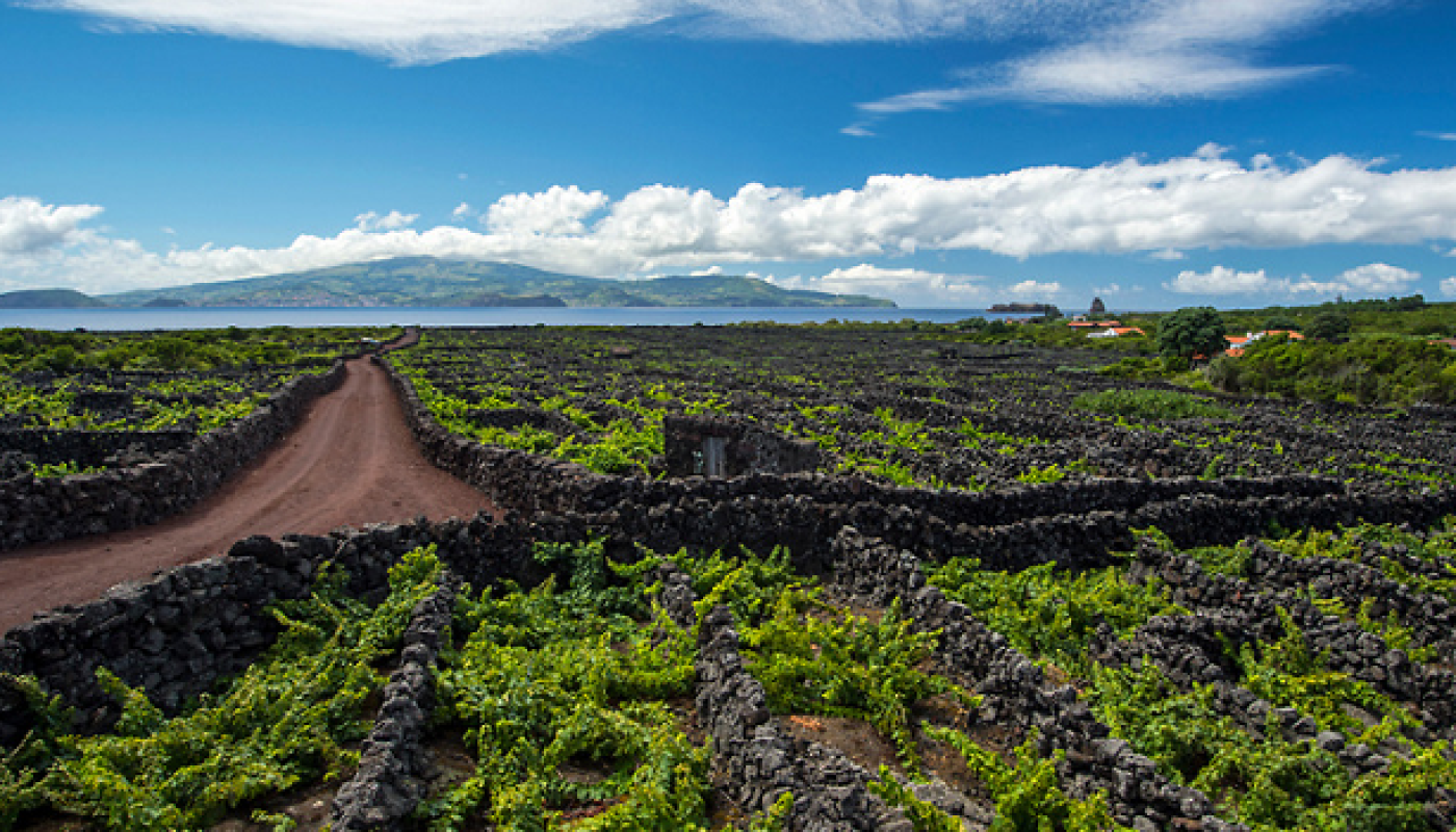 An Island of Wine Exists and it Looks Out of this World