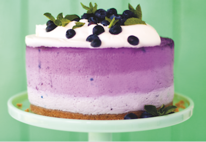 blueberry cheeesckae featured