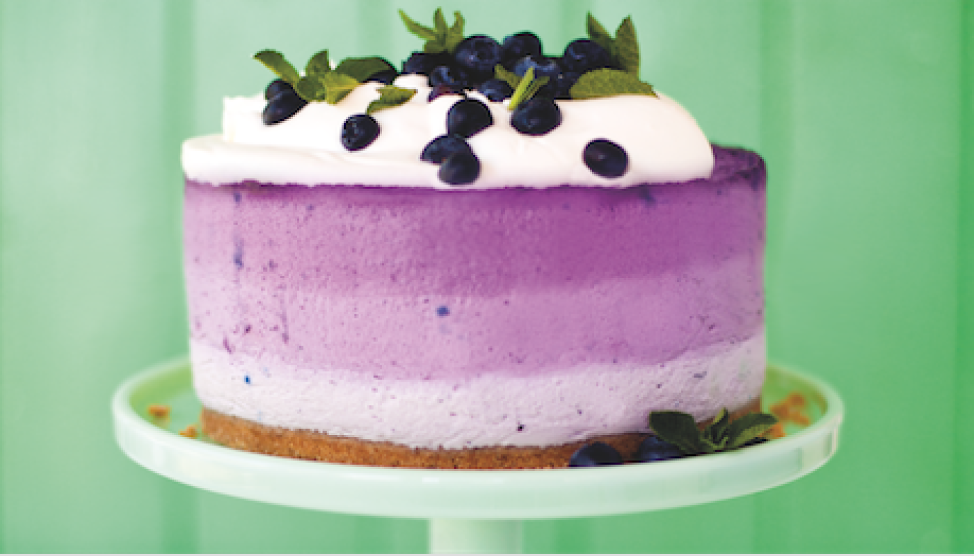 blueberry cheeesckae featured