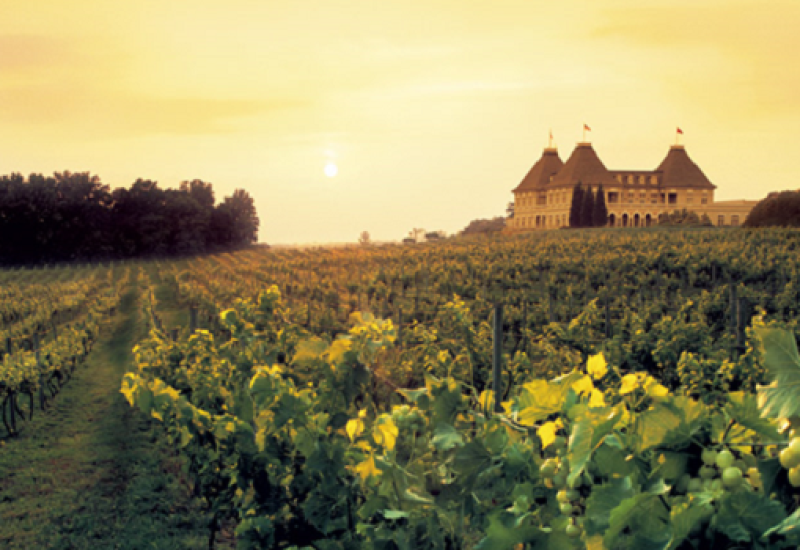 The Other Cabernet: Cabernet Franc Makes a Comeback