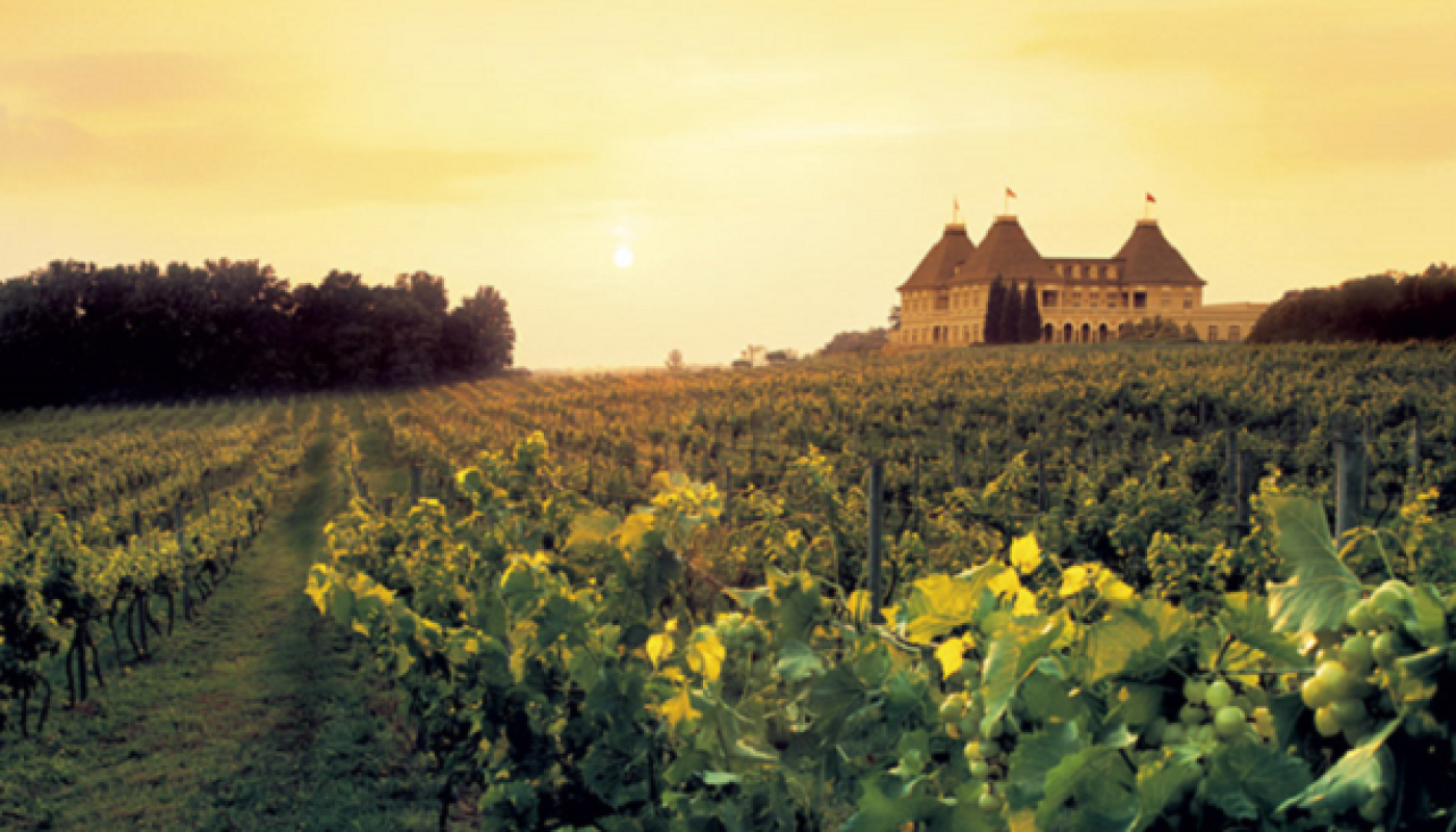 The Other Cabernet: Cabernet Franc Makes a Comeback