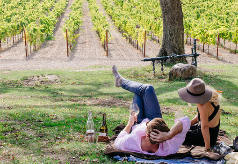 California Wine: Drink Outside the Box | California Wines in Ireland