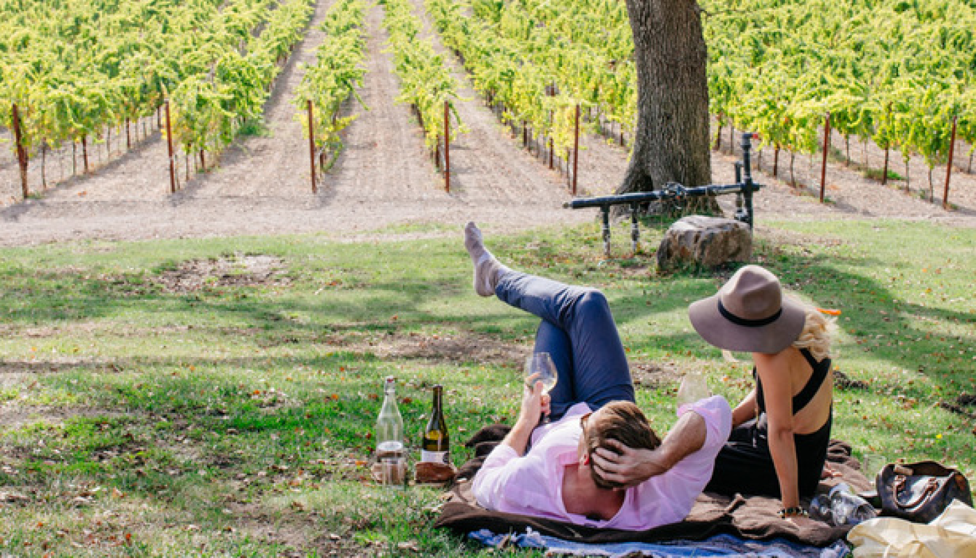 California Wine: Drink Outside the Box | California Wines in Ireland