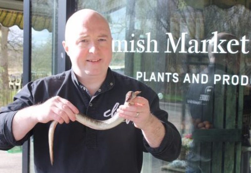 chef rob curley nire